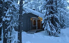 Tunturioravat